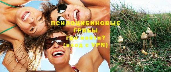 первитин Россошь