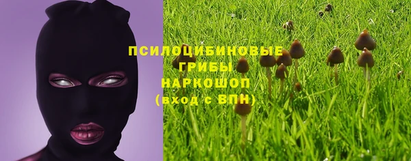 первитин Россошь