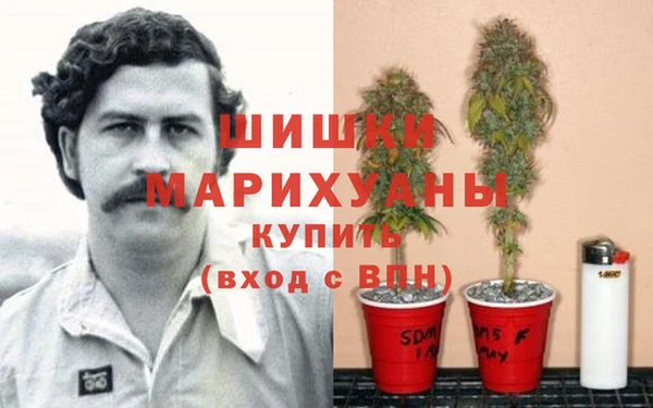 первитин Россошь