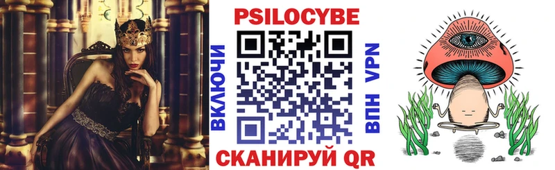 как найти закладки  Багратионовск  Галлюциногенные грибы Psilocybine cubensis 